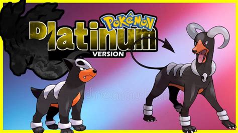 smogon houndoom|melhor nature para houndoom.